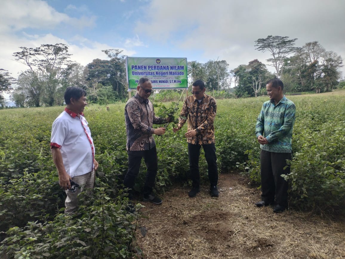 Panen Perdana Nilam 2